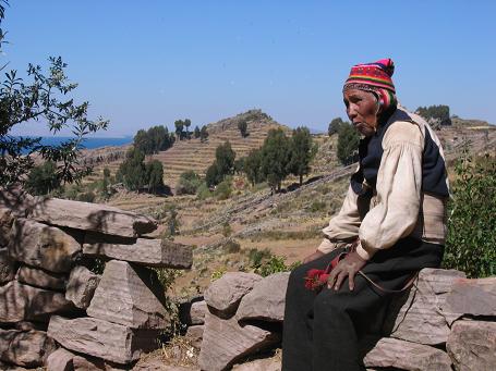 Andenes en la agricultura - Taquile